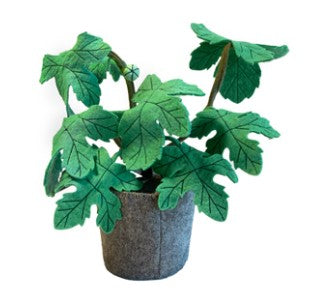 KidsDepot vijgenboom (Ficus carica) - groen