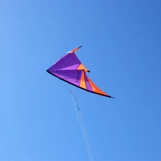 Wolkenstürmer Stuntvlieger Skydart 82 X 175 Cm Polyester  violet